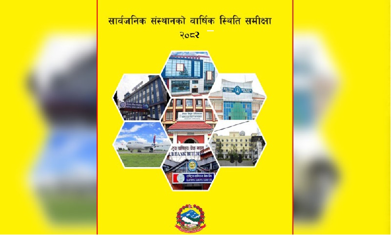 Annual Status Review of Public Institutions, 2082